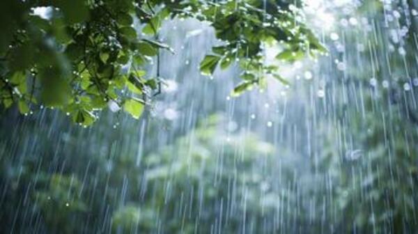 Rainy Days