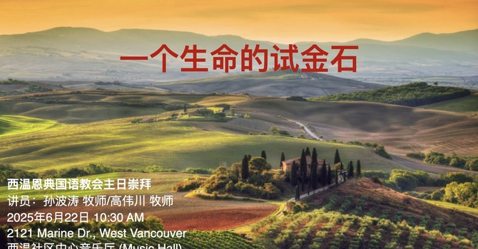 一个生命的试金石