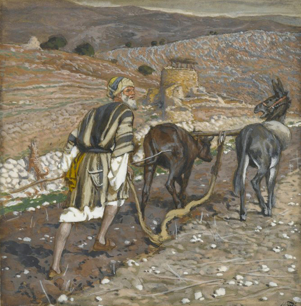 This Sunday's Readings and Order of Service