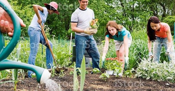 Gardening Club