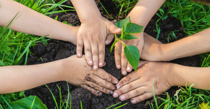 Church Planting