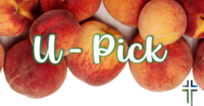 U-Pick