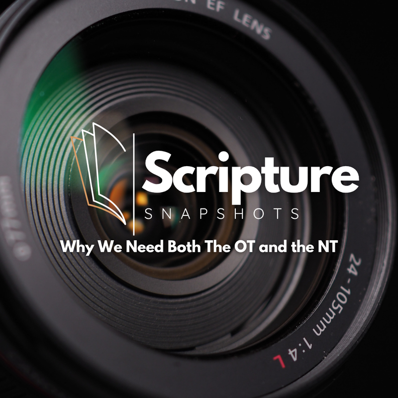 Why We Need Both The Old Testament and the New Testament