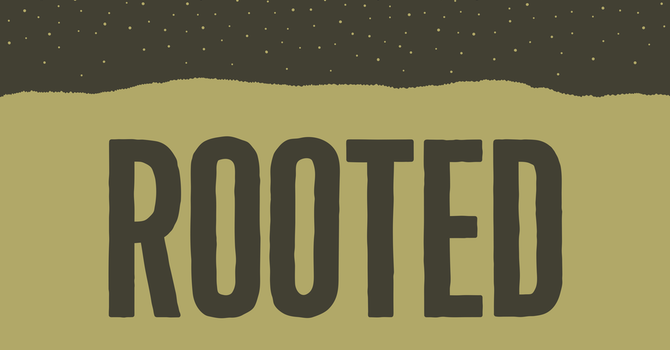 Rooted Series | Rooted To Bear Fruit| Week 3 | 6/22/25
