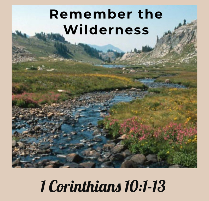 Remember the Wilderness