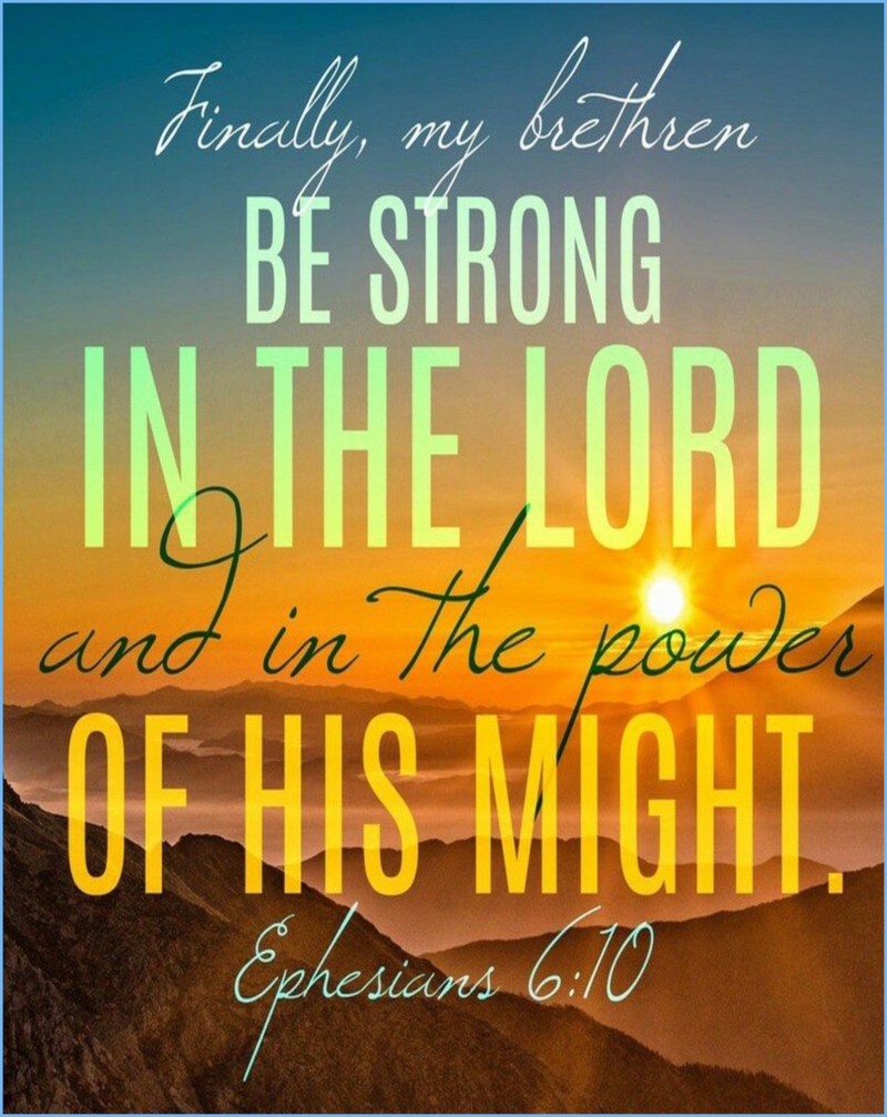 A.L.I.V.E. - In the Armor of God