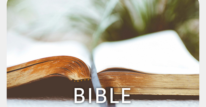 Bible Study