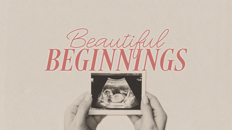 Beautiful Beginnings