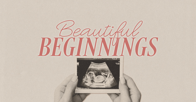 Beautiful Beginnings