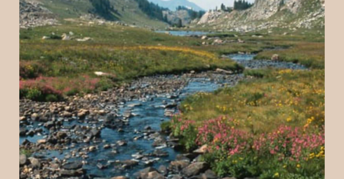 Remember the Wilderness