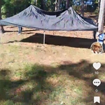 nav image