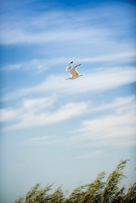 Slideshow image
