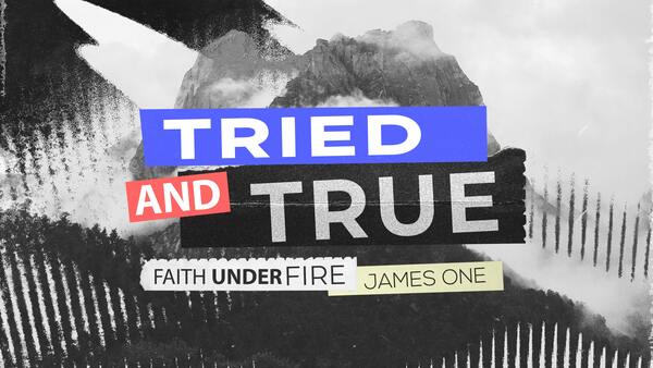 James 1:15-18