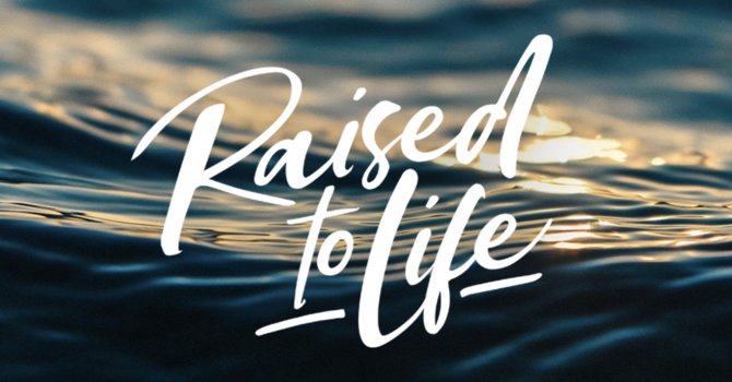 Raised To Life 