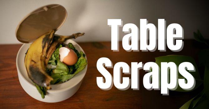 Table Scraps