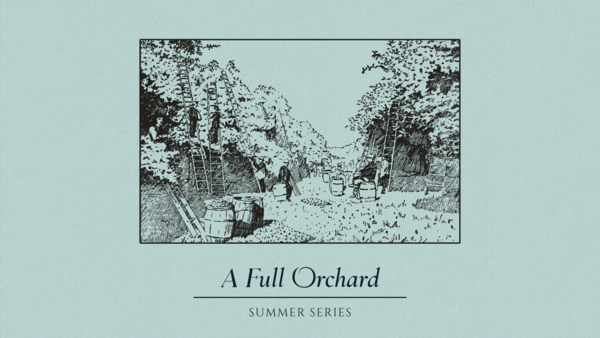 A Full Orchard
