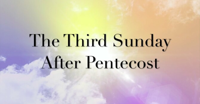 3rd Sunday after Pentecost