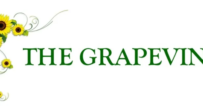 The July/August Issue of the Grapevine is out image