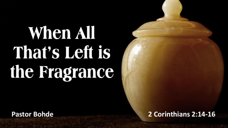 "When All That's Left is the Fragrance"