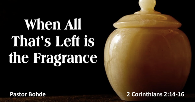 "When All That's Left is the Fragrance"
