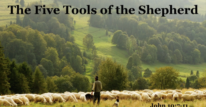 "The Five Tools of the Shepherd"