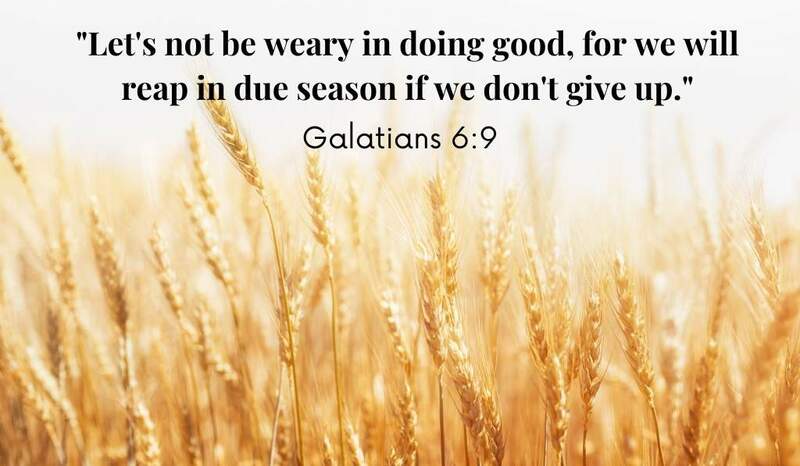 Don't Give Up!