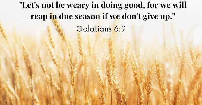 Don't Give Up!