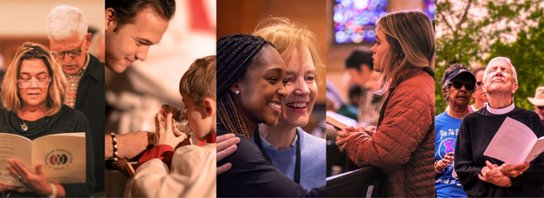 A Message from the Bishop Search Committee