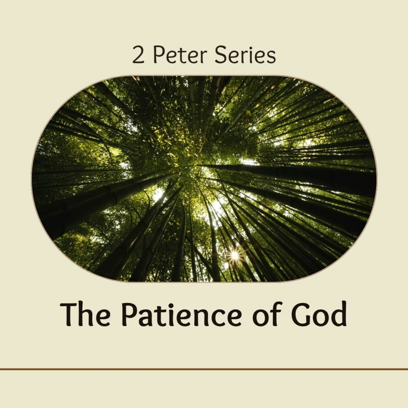 The Patience of God