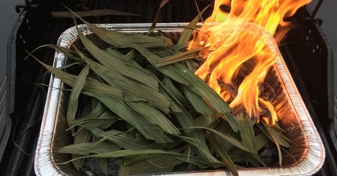 Opportunities February 2023 image