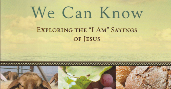 The God We Can Know image