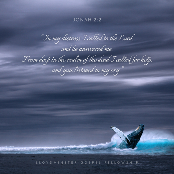 Verse of the Day
