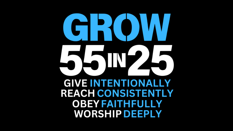 Planted with Purpose: Refocusing the Church on God's Mission and Vision