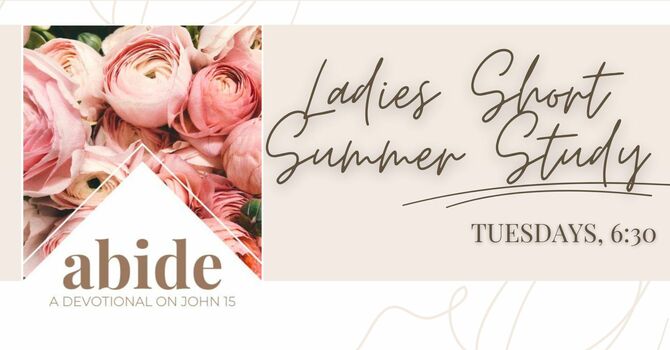 Ladies Summer Short Study