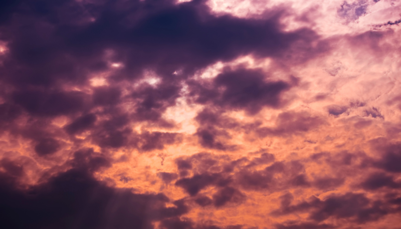 Seventh Sunday after Pentecost