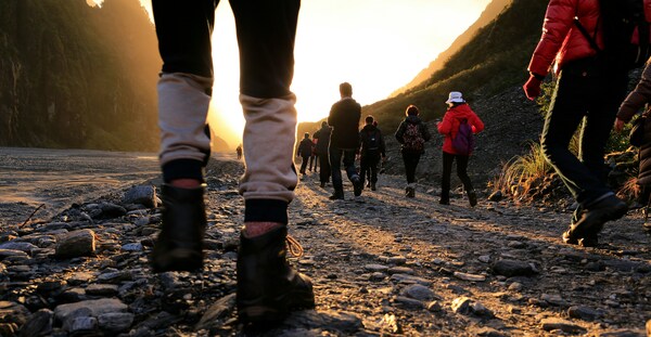 St. Anne's Walkers