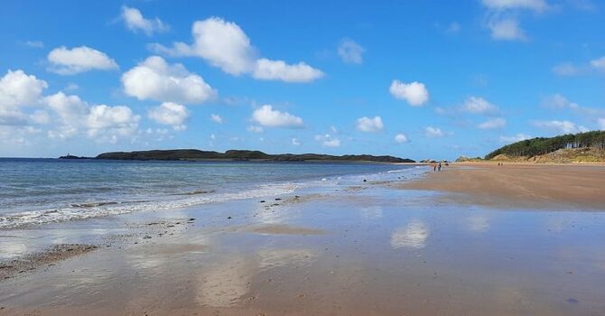 Hunting Magic Eels image