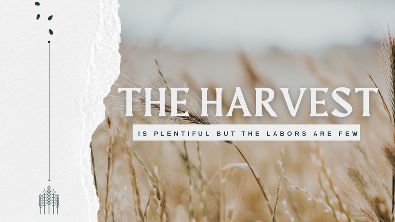 The Harvest Is Plentiful but the Laborers Are Few