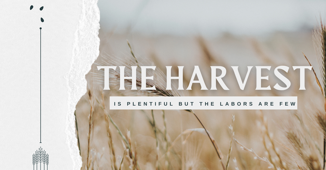 The Harvest Is Plentiful but the Laborers Are Few