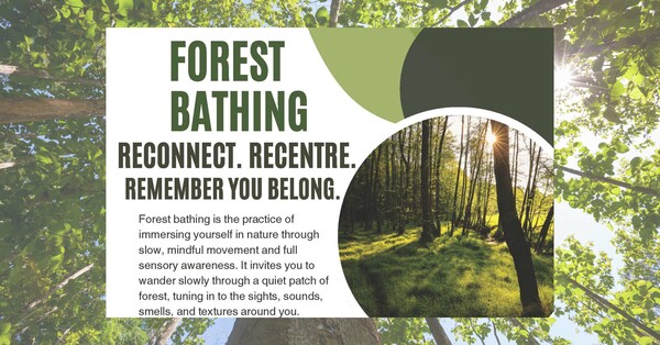 Forest Bathing Nature Walk 