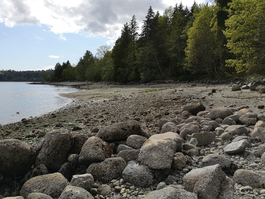 Slideshow image