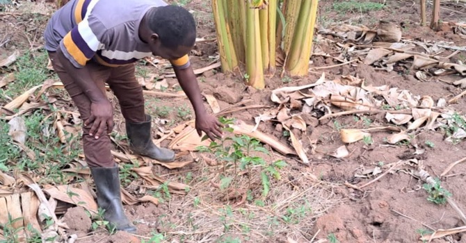 Support Sustainable Farming and Irrigation