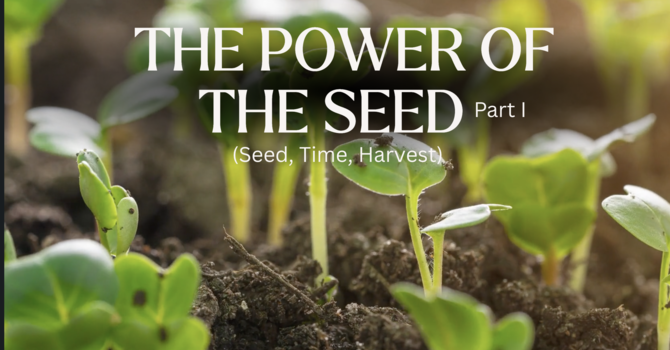 The Power Of The Seed, Part I (Seed, Time, Harvest)