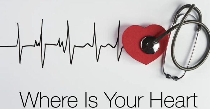 Where Is Your Heart