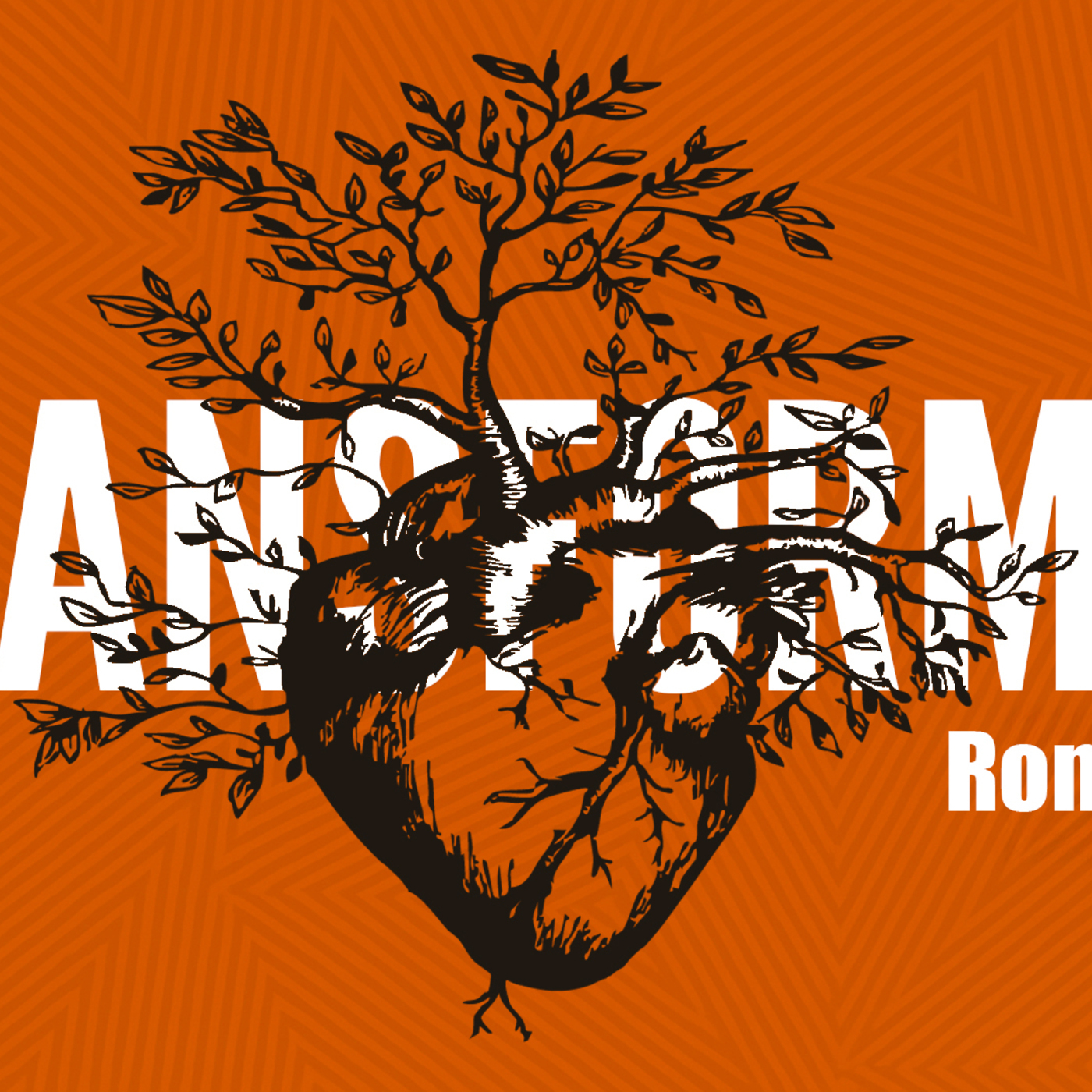 Transformed (Part 5)