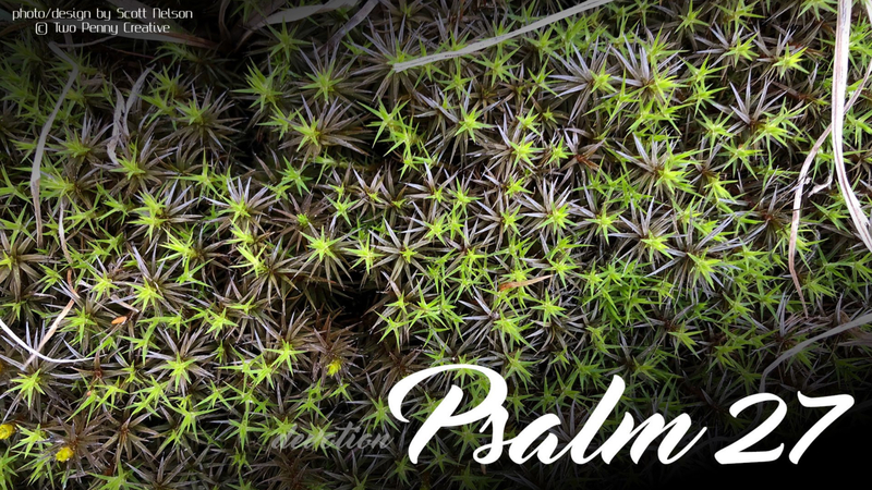Psalm 27