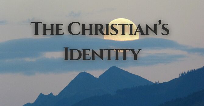 The Christian: Sheep