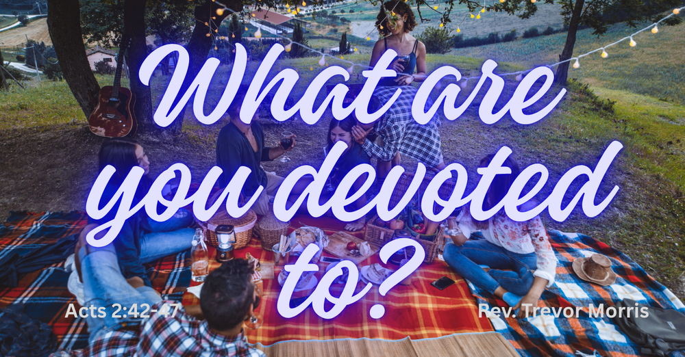 What are you devoted to?