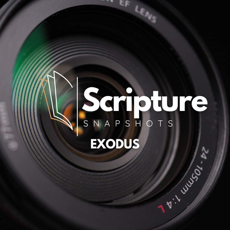 Exodus