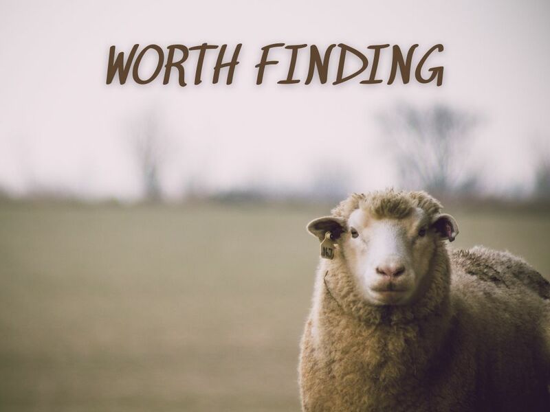 Worth Finding
